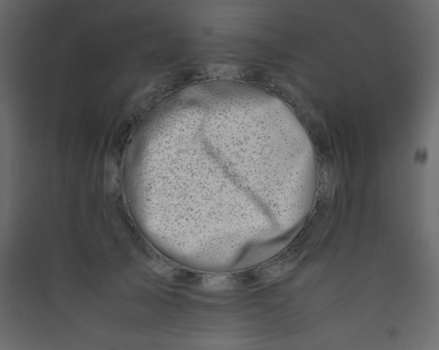 X0000089430705200707131844