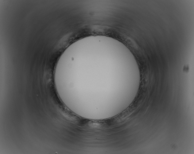 X0000089430706200707131844