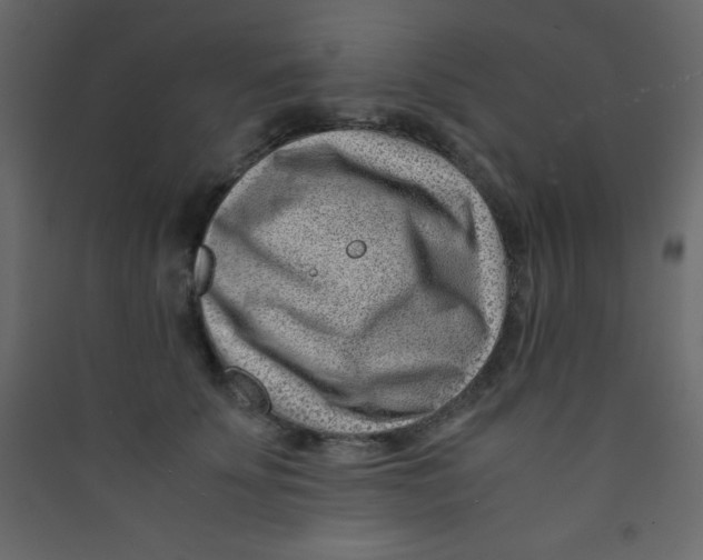 X0000089430707200707131844
