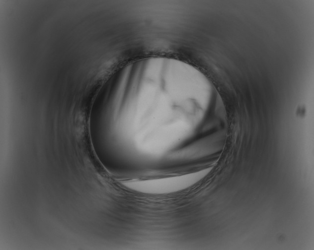 X0000089430708200707131844