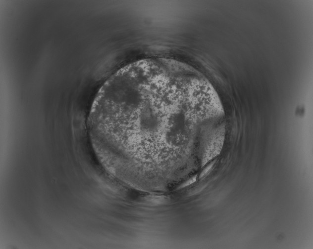 X0000089430711200707131844