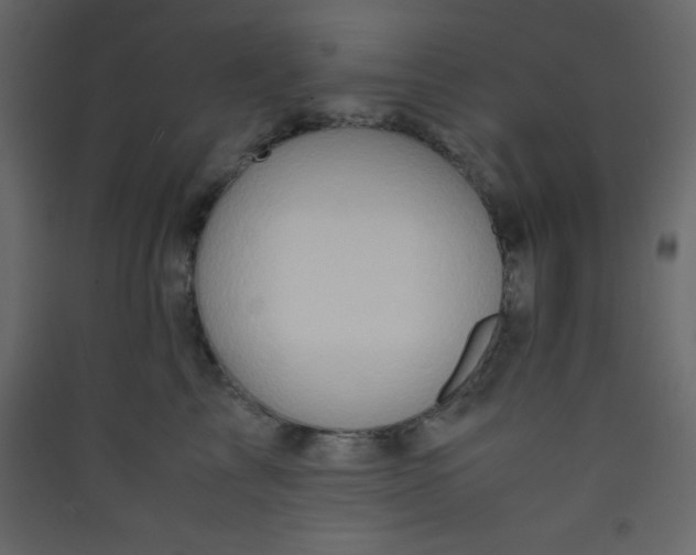X0000089430713200707131844