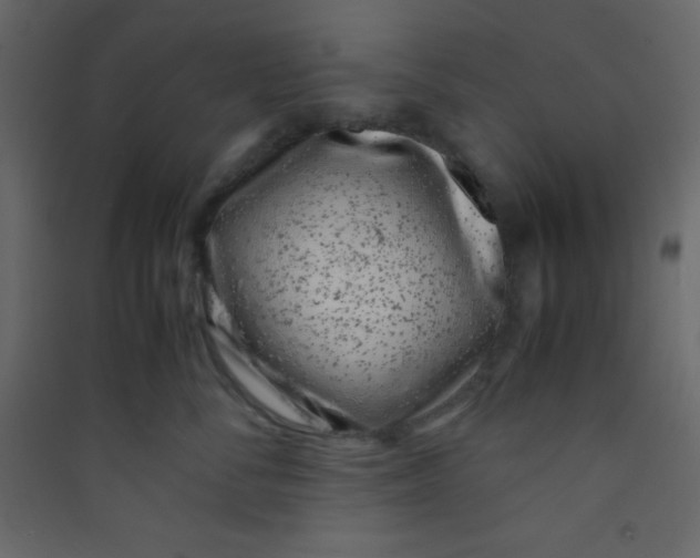 X0000089430716200707131844