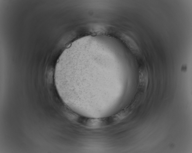 X0000089430717200707131844