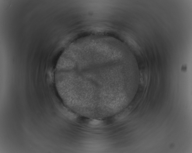 X0000089430718200707131844