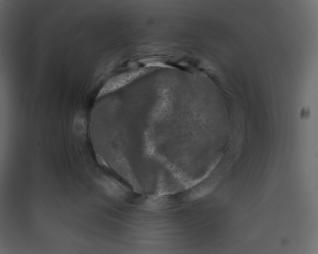 X0000089430720200707131844