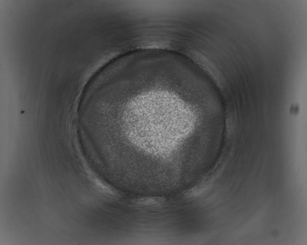 X0000089430721200707131843