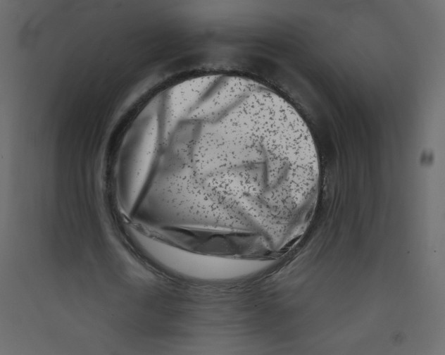 X0000089430722200707131844