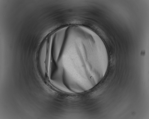 X0000089430725200707131844
