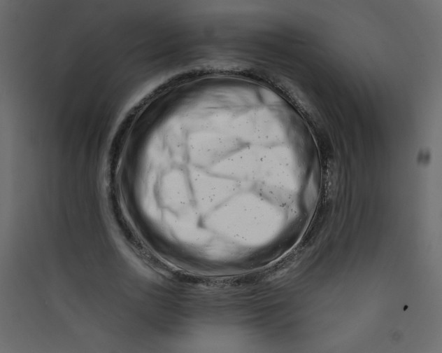 X0000089430726200707131844