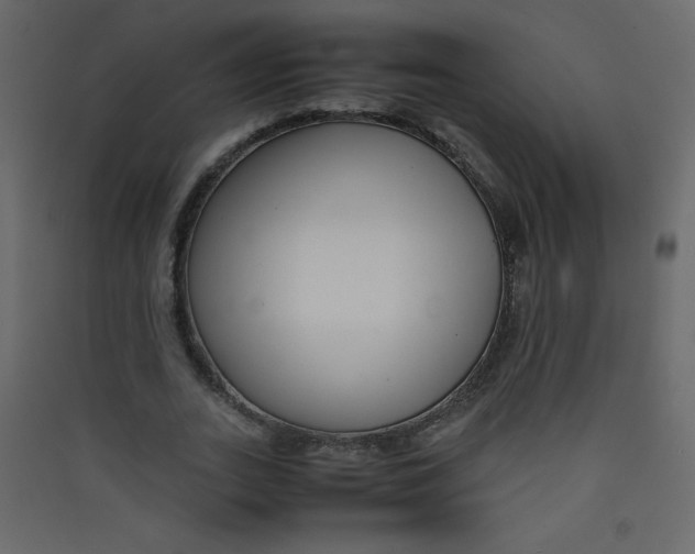 X0000089430727200707131844