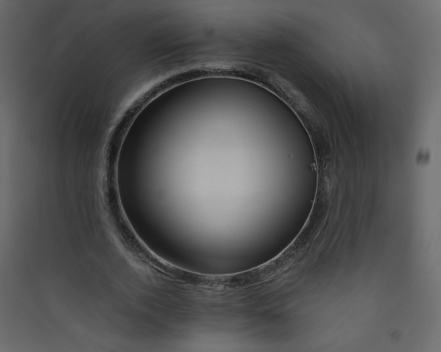 X0000089430728200707131844