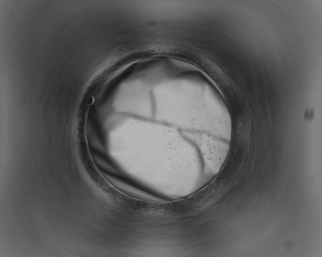 X0000089430730200707131844