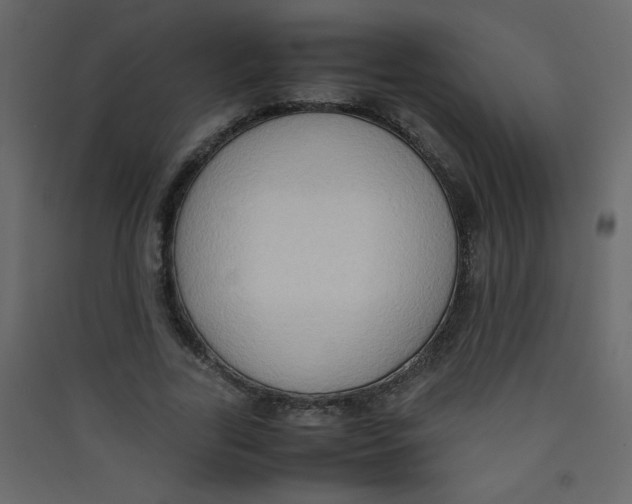 X0000089430731200707131844