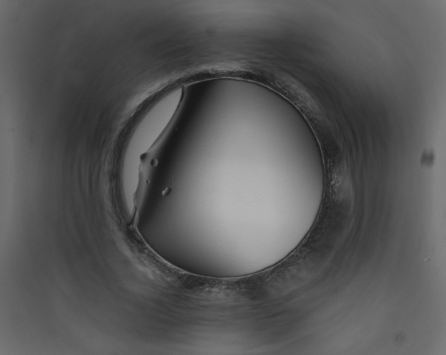 X0000089430732200707131844