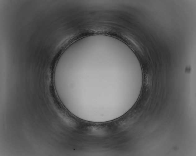 X0000089430733200707131844