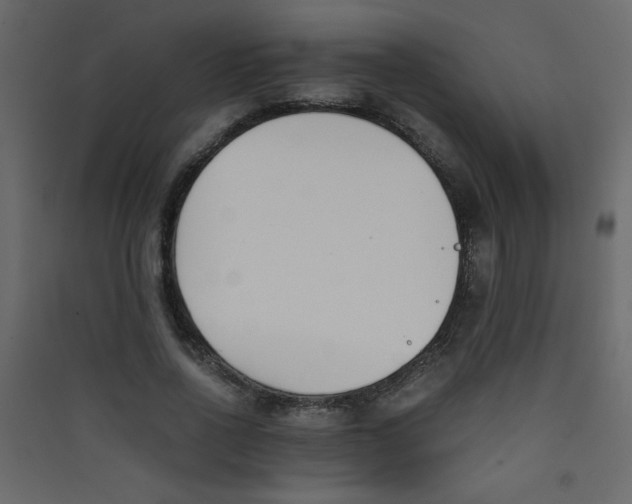 X0000089430734200707131844
