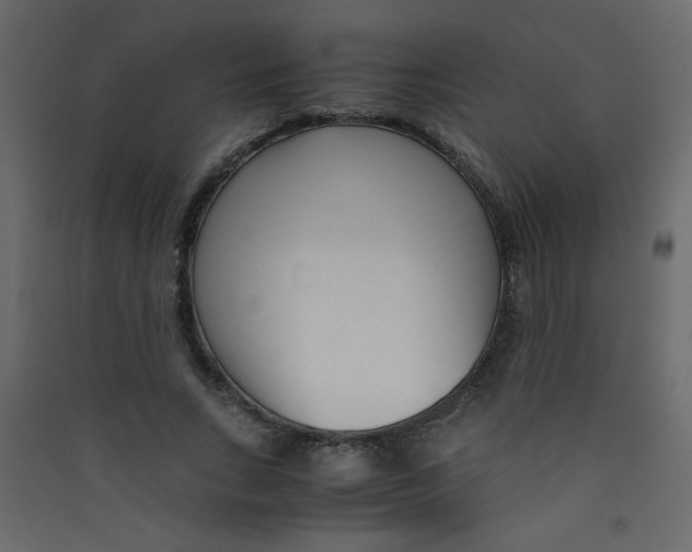X0000089430735200707131844
