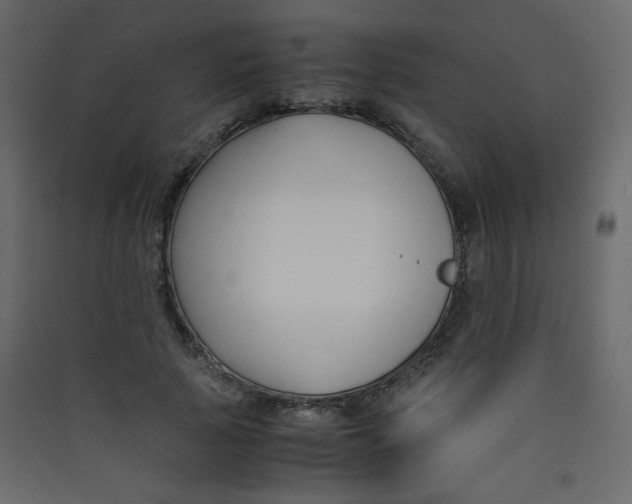 X0000089430737200707131844