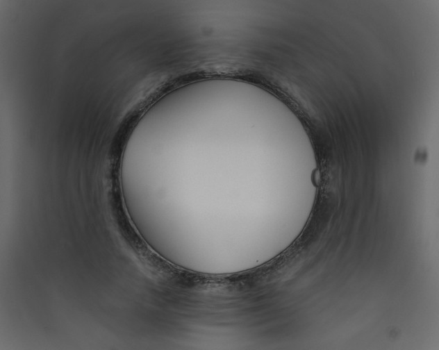 X0000089430738200707131844