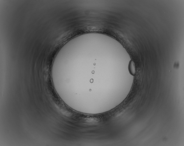 X0000089430741200707131844