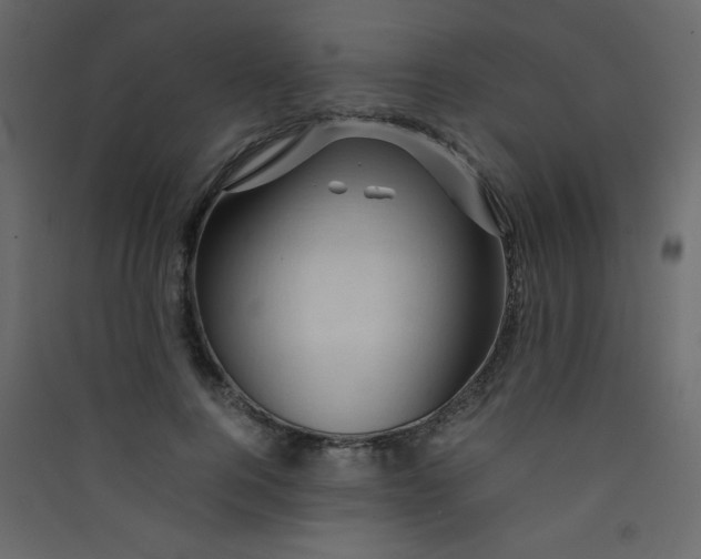 X0000089430744200707131844