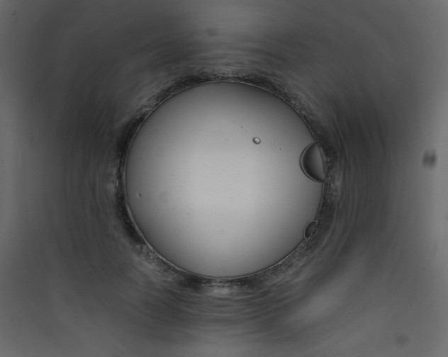 X0000089430746200707131844