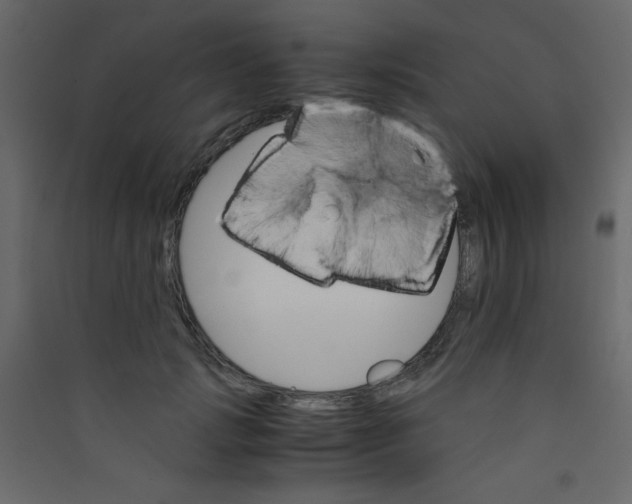 X0000089430749200707131844