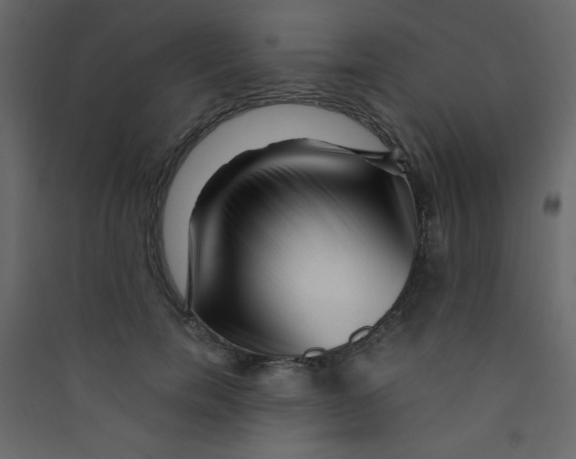 X0000089430750200707131844