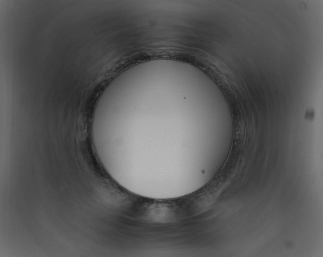 X0000089430751200707131844