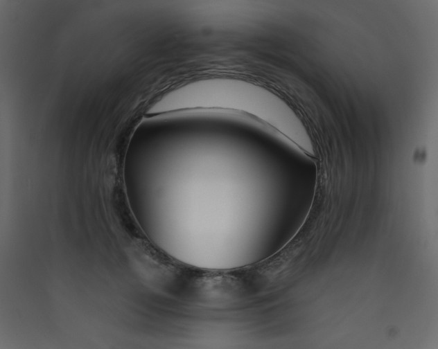 X0000089430752200707131844