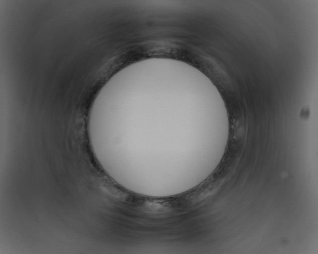X0000089430753200707131844
