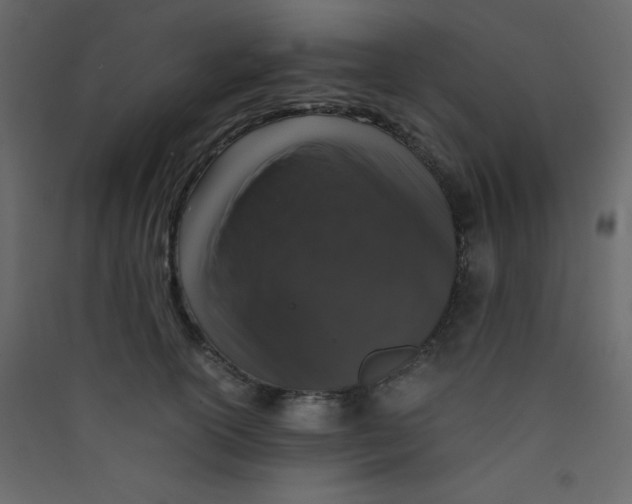 X0000089430754200707131844