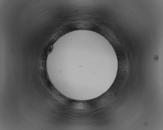 X0000089430755200707131844