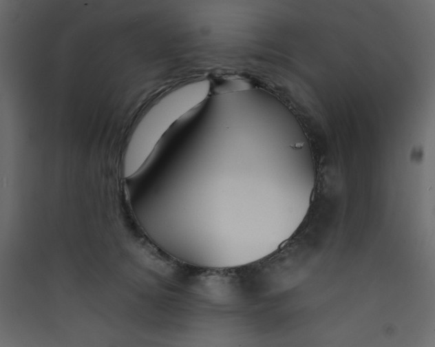 X0000089430756200707131844