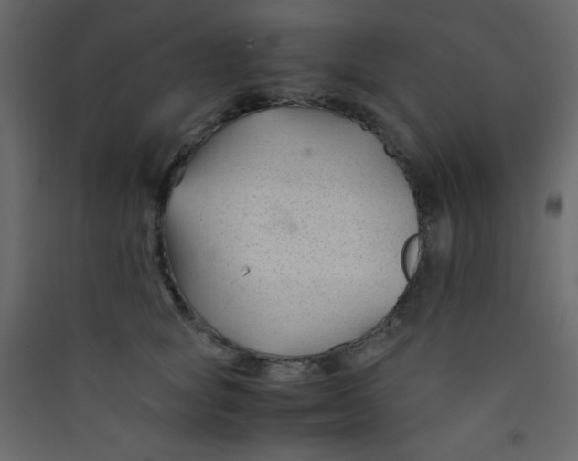 X0000089430757200707131844