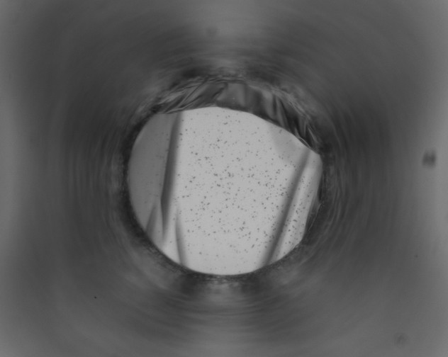 X0000089430760200707131844