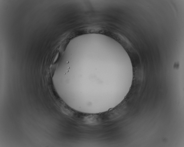 X0000089430761200707131844