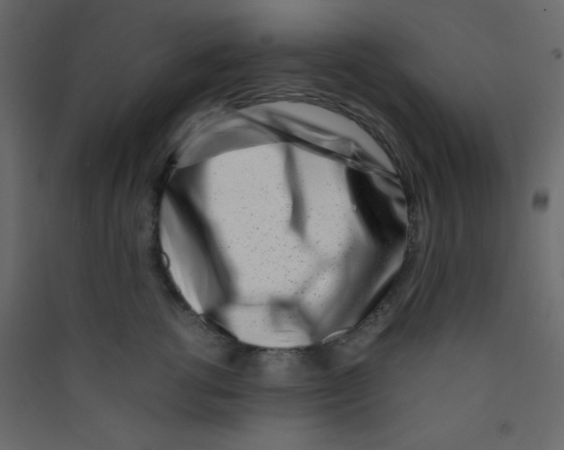 X0000089430762200707131844