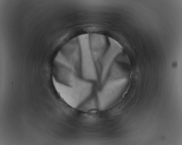 X0000089430763200707131844