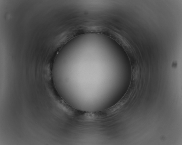 X0000089430764200707131844
