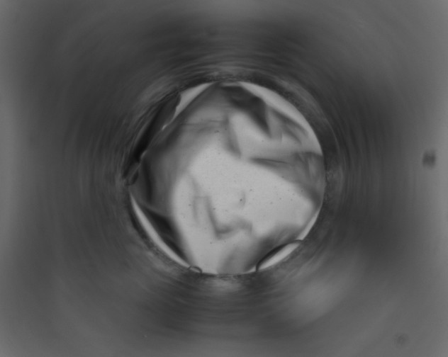 X0000089430765200707131844