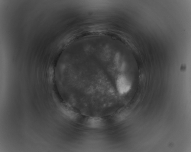 X0000089430767200707131844
