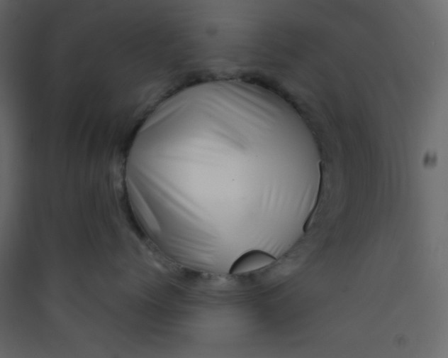X0000089430768200707131844