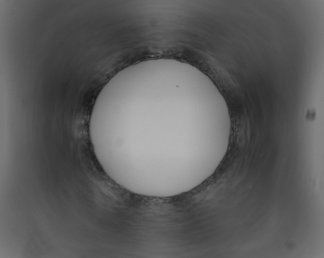 X0000089430770200707131843