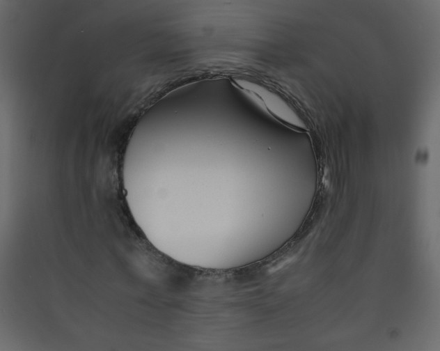 X0000089430771200707131843