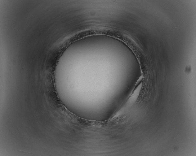 X0000089430773200707131843