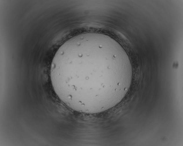 X0000089430774200707131843