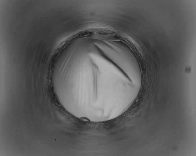 X0000089430775200707131843
