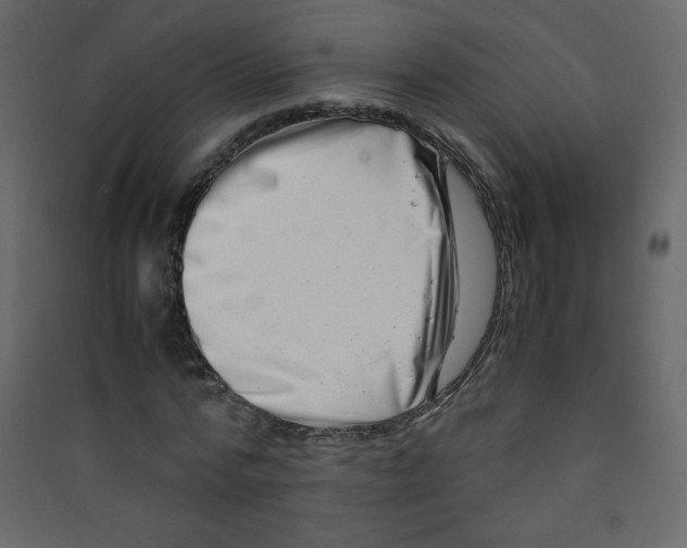 X0000089430776200707131843